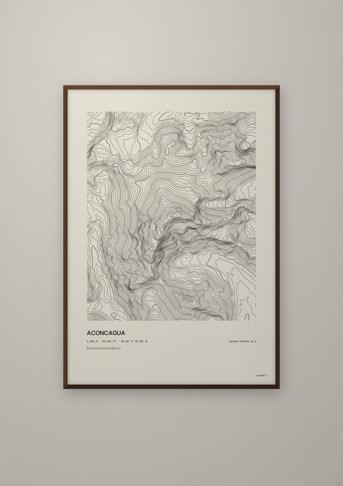 Aconcagua in a dark wood frame