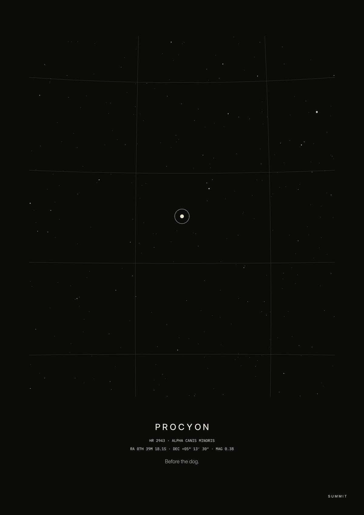 Procyon, unframed art print