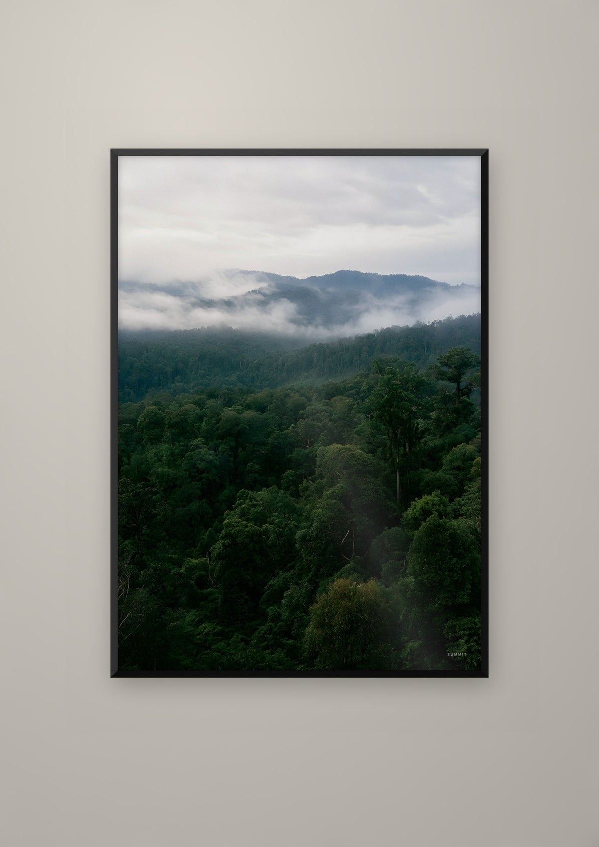 Rainforest in a black frame