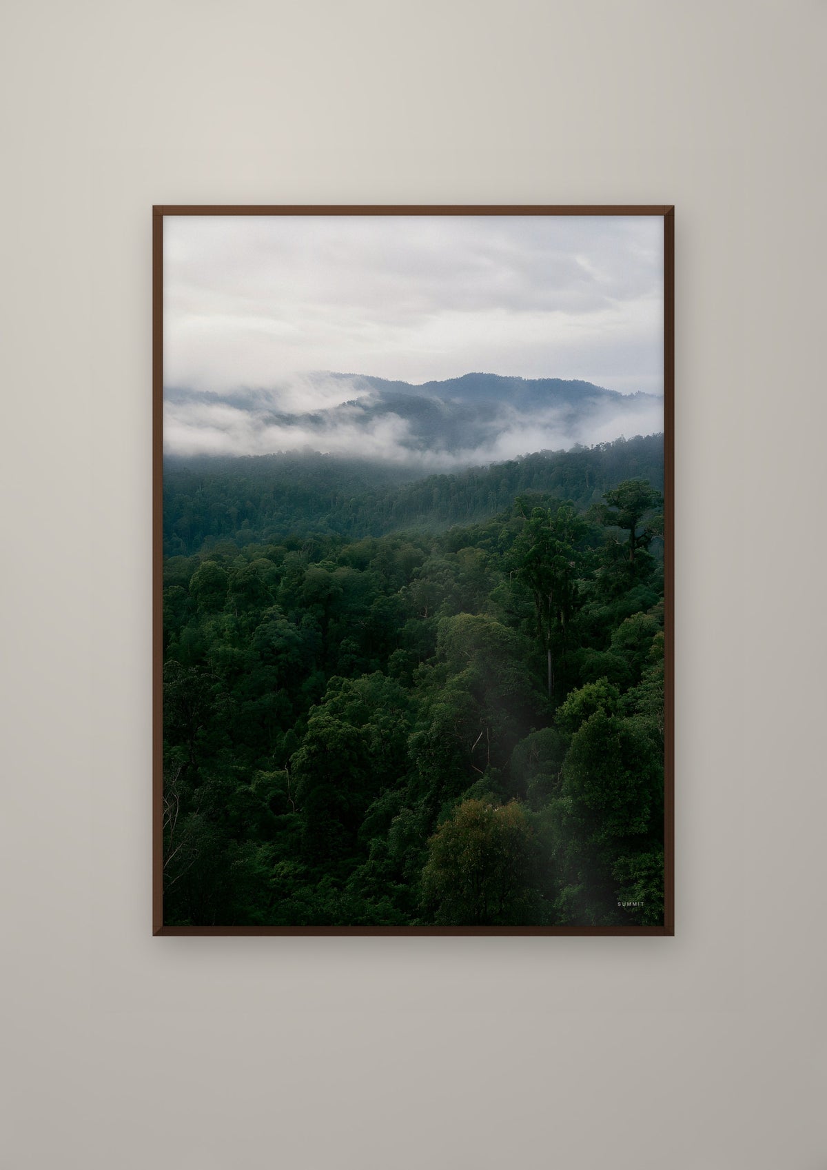 Rainforest in a dark wood frame