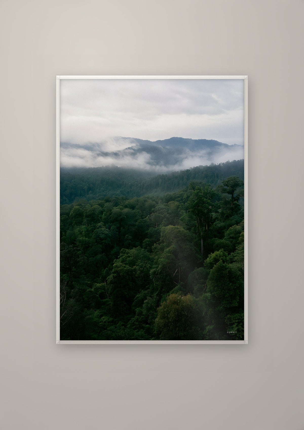 Rainforest in a white frame