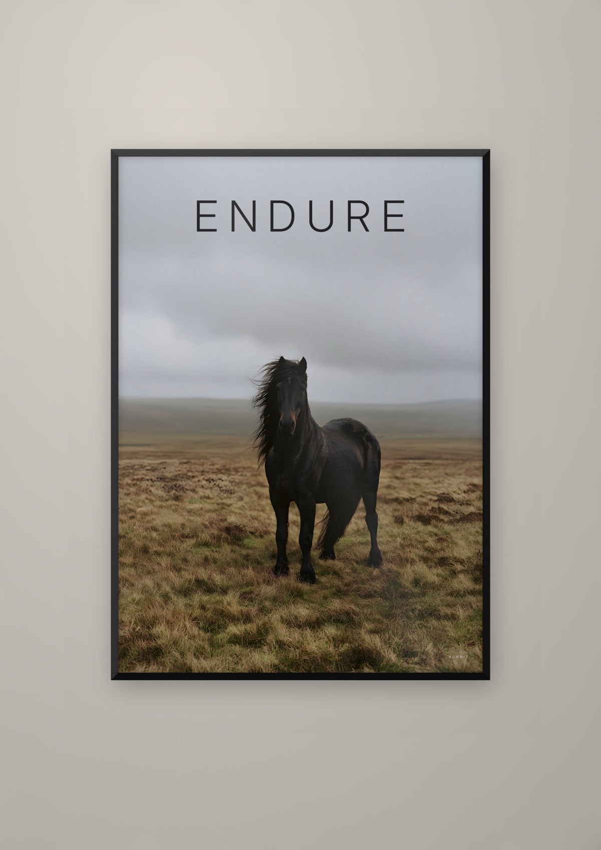 The Horse in a black frame