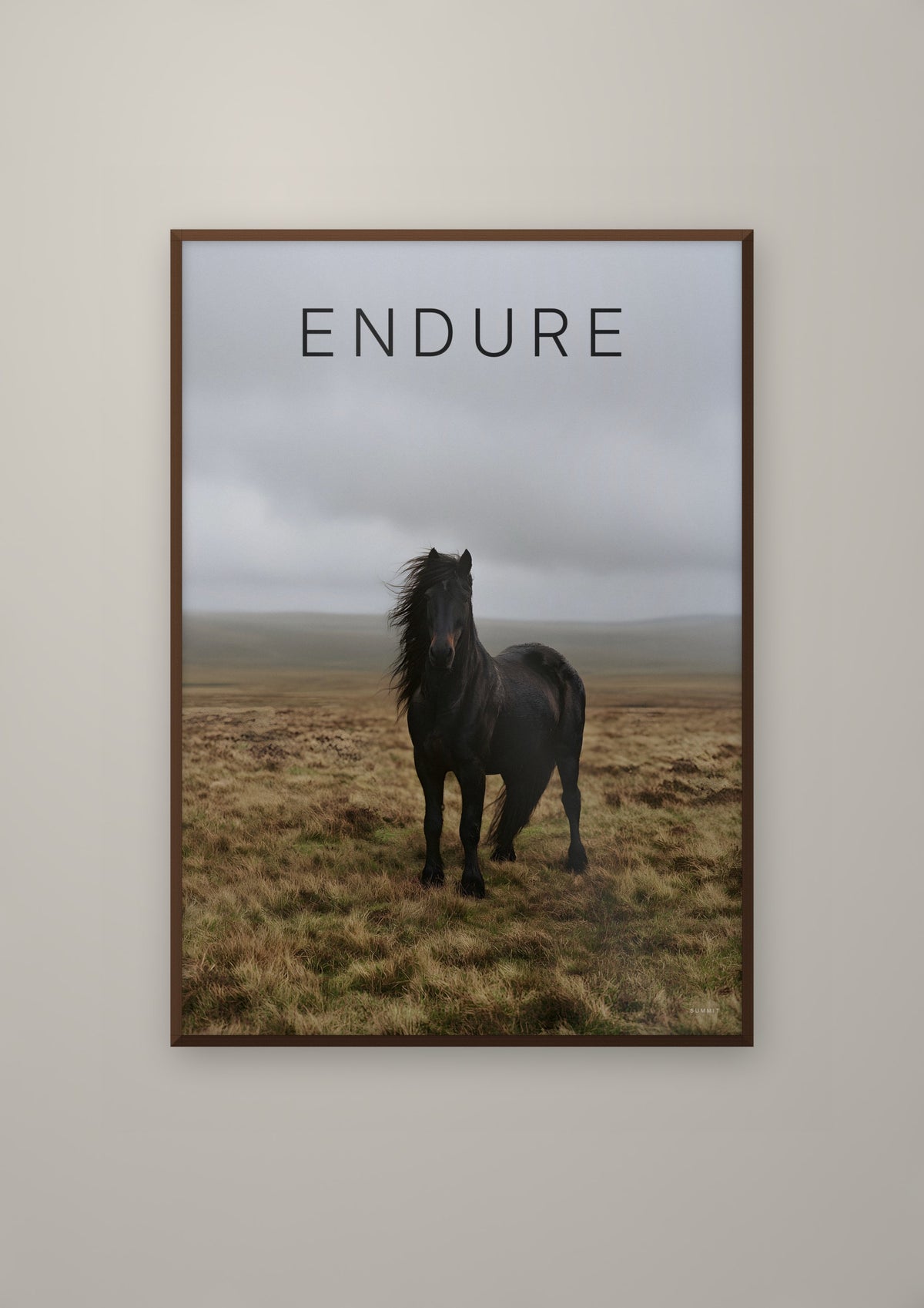 The Horse in a dark wood frame