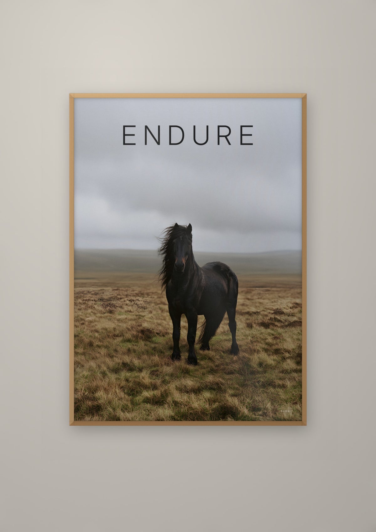 The Horse in a natural wood frame