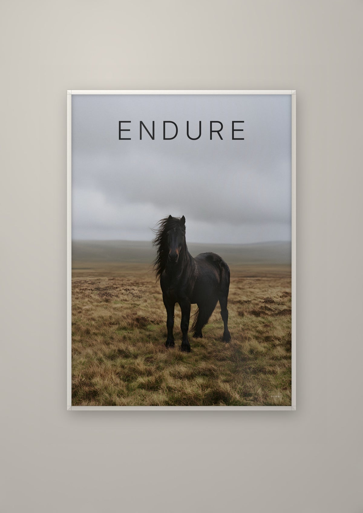 The Horse in a white frame