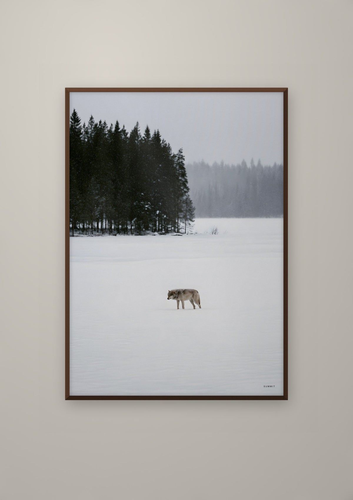 The Wolf in a dark wood frame
