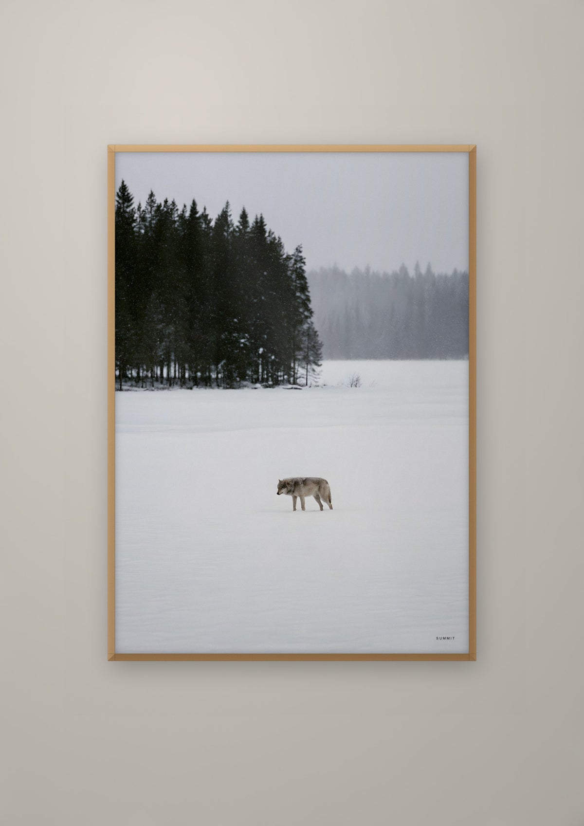 The Wolf in a natural wood frame