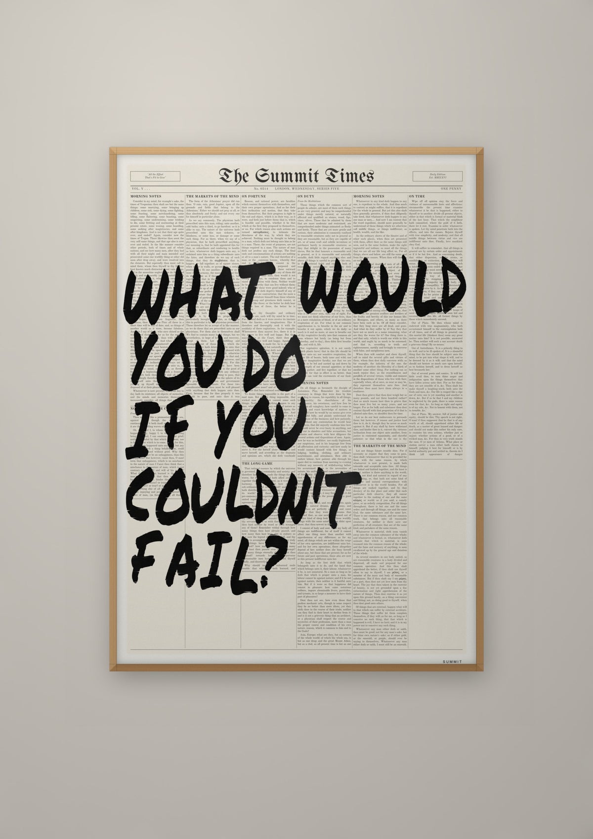 What Would You Do If You Couldn't Fail? in a natural wood frame