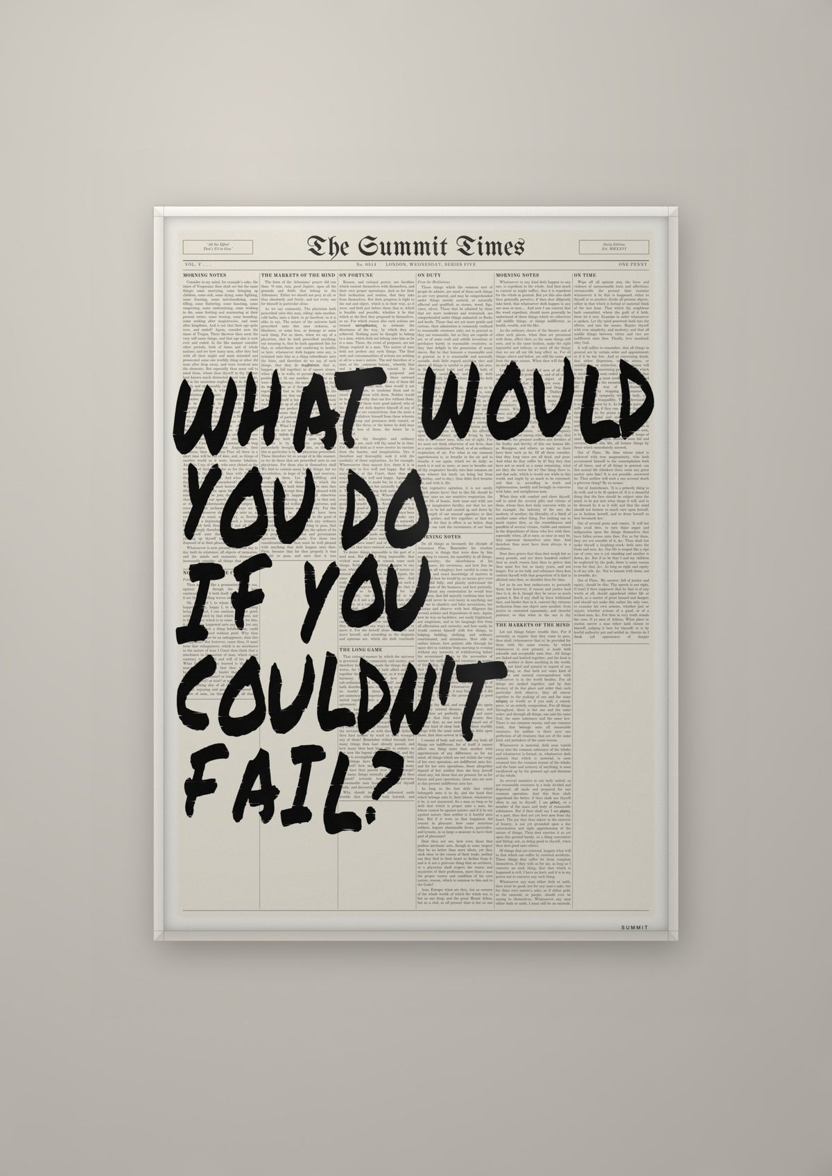 What Would You Do If You Couldn't Fail? in a white frame